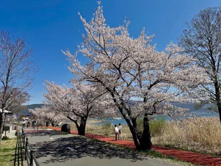 赤砂崎公園